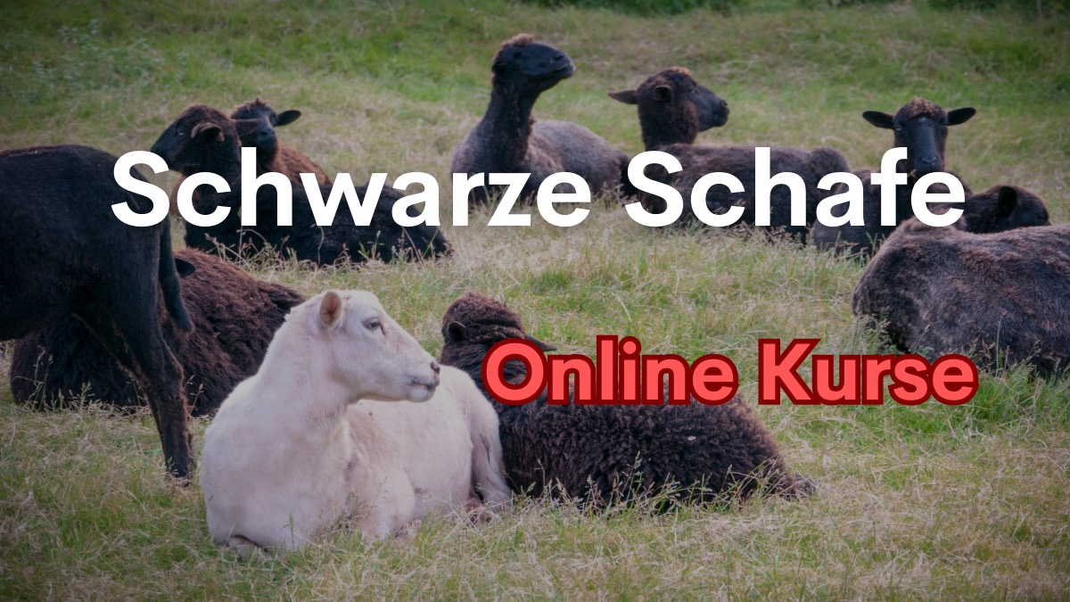 You are currently viewing Online-Kurse & Schwarze Schafe